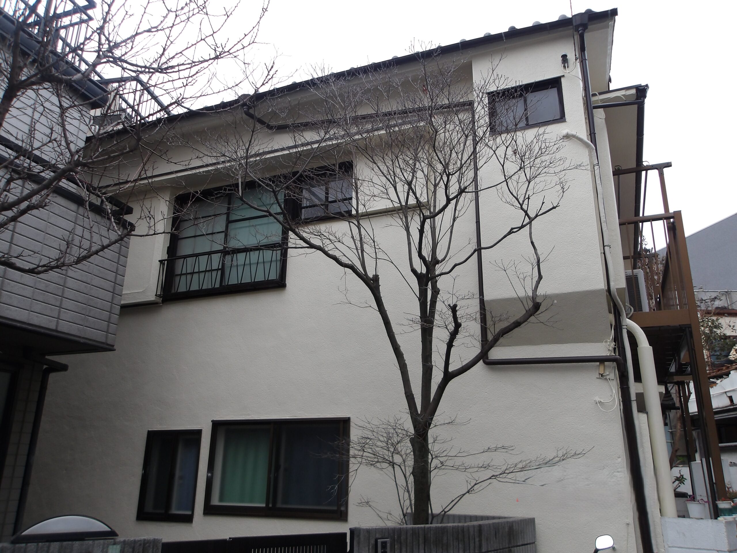 外装塗装（Sハウス） 単体画像1