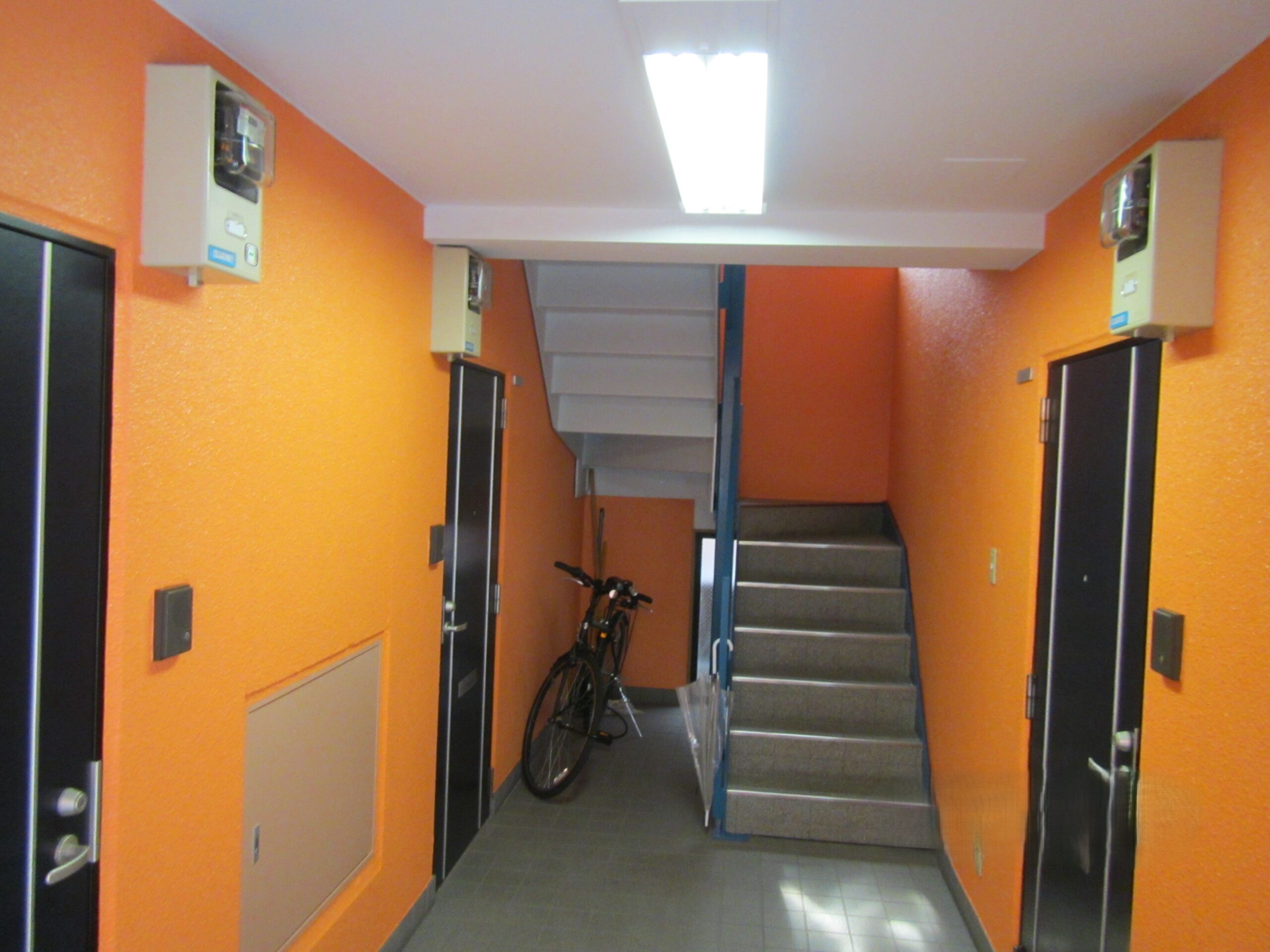 屋根・外装塗装（アドヴァンス栄町） 単体画像1