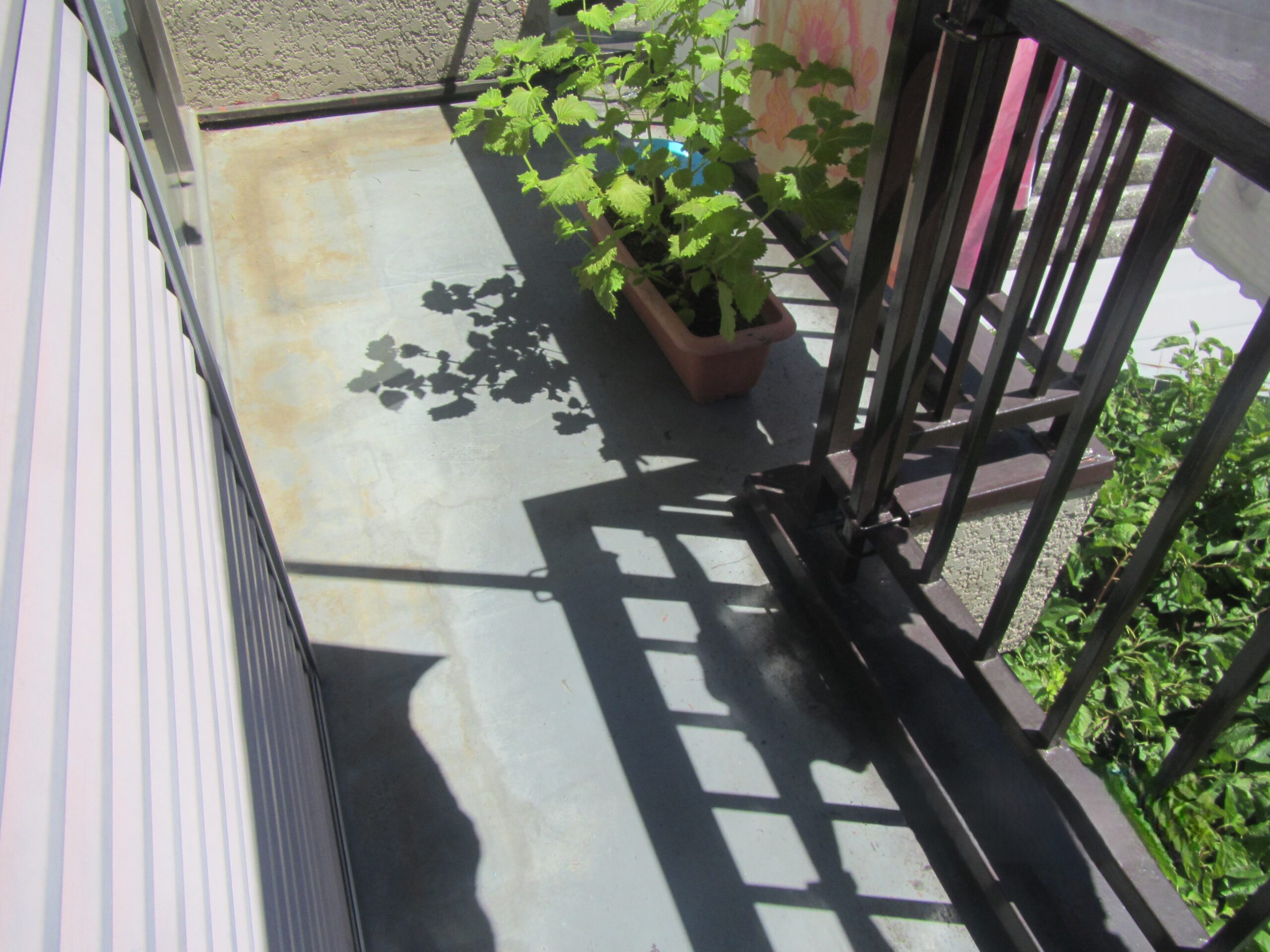 ベランダ防水工事（M邸） Before